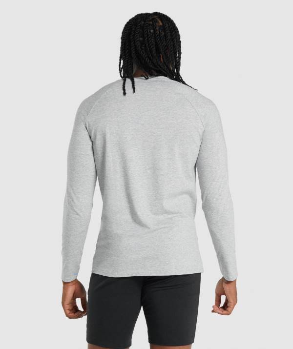 Panske Mikiny Gymshark Critical 2.0 Long Sleeve Svetlo Siva | RG8126395